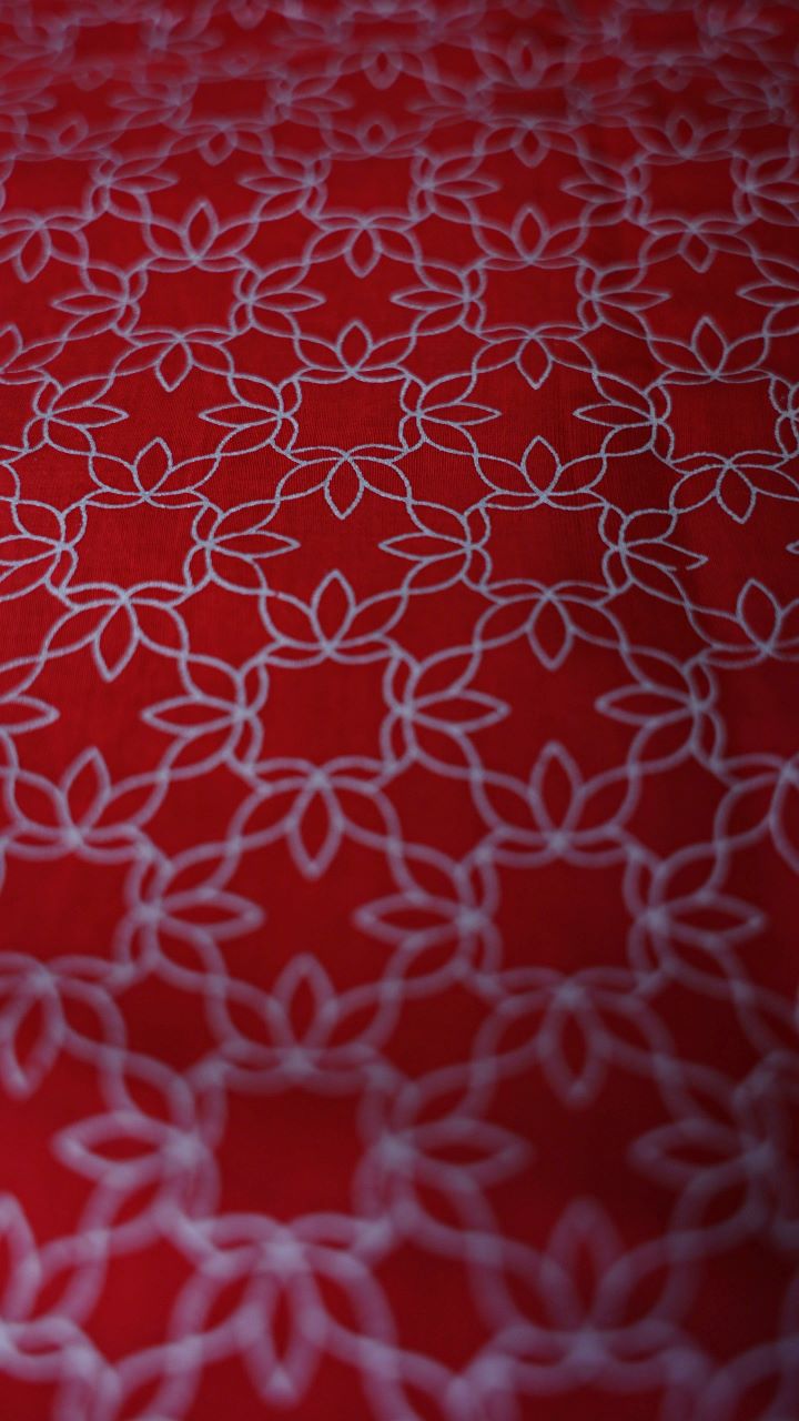 You Complete Me- Printed Modal Silk Saree- Red and Silver